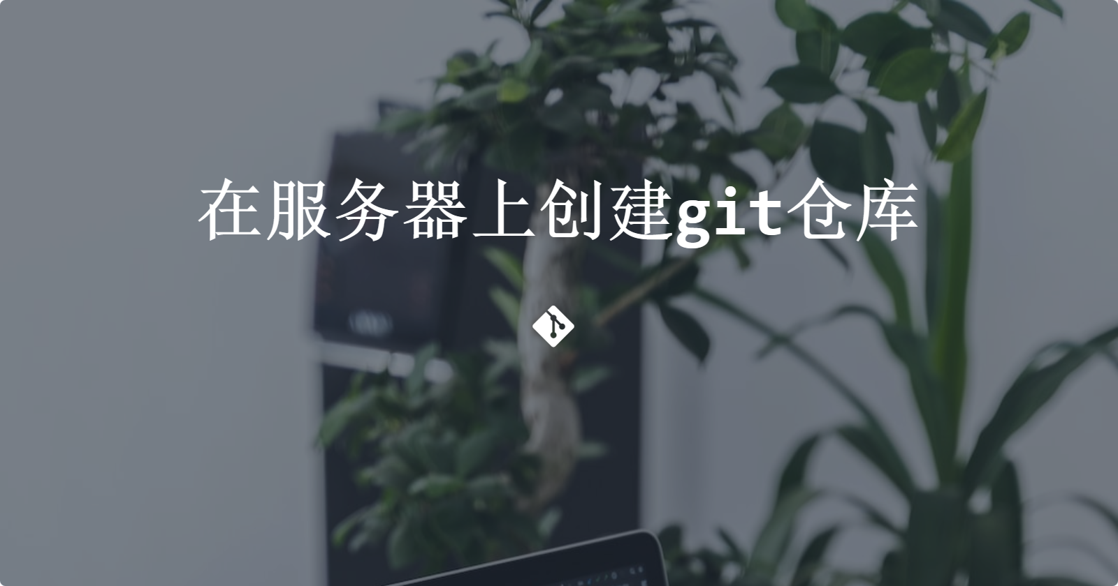 在服务器上创建git仓库