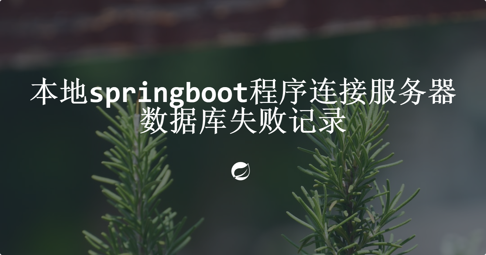 本地springboot程序连接服务器数据库失败记录